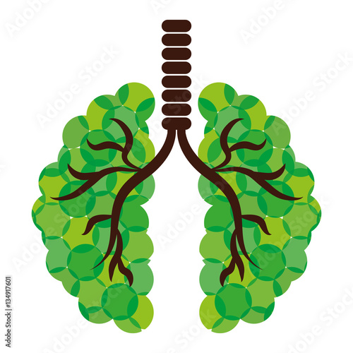 Green lungs of branches icon image, vector illustration
