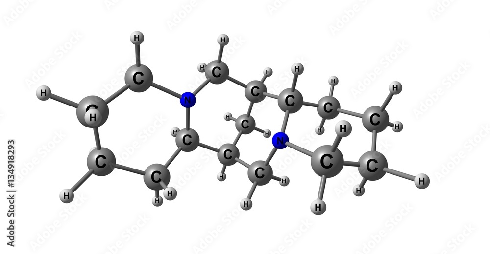 Sparteine molecular structure isolated on white Sparteine molecular structure isolated on white