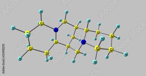 Sparteine molecular structure isolated on grey