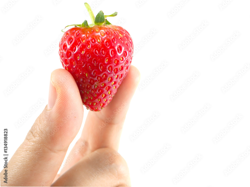 Obraz premium Strawberry on hand 