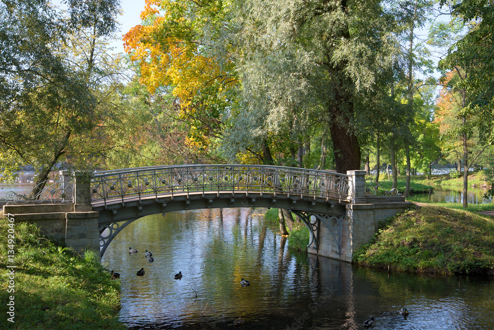 Openwork iron bridge over the canal the Sunny September day. The Gatchina Park Openwork iron bridge over the canal the Sunny September day. The Gatchina Park