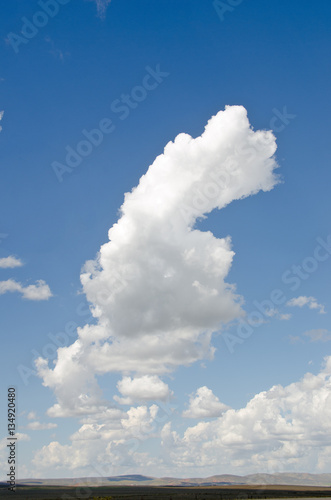 Interesting Cumulus Clouds