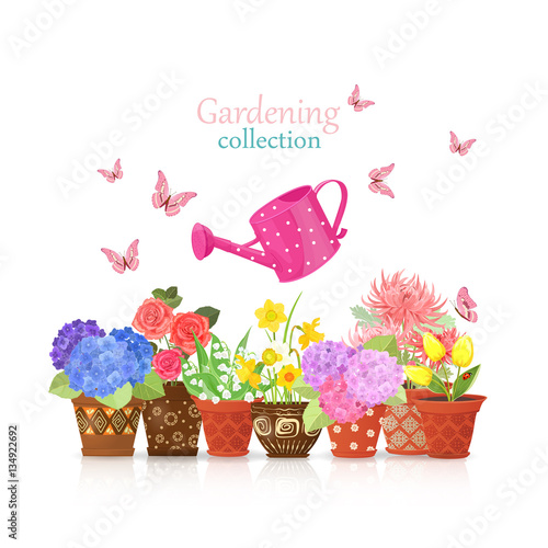 lovely flowers planted in ethnic flowerpots with a colorful can