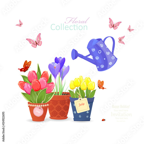 spring flowers planted in ethnic flowerpots and a vintage can wa