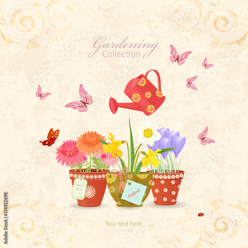 spring flowers planted in ethnic flowerpots with a vintage can w