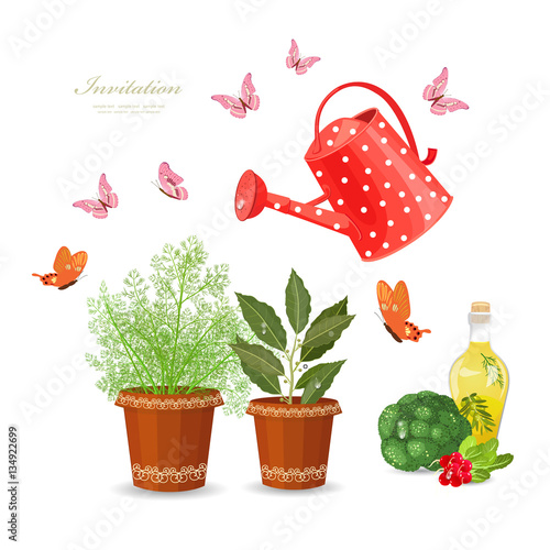 different herbs planted in flowerpots and fresh vegetables on wh