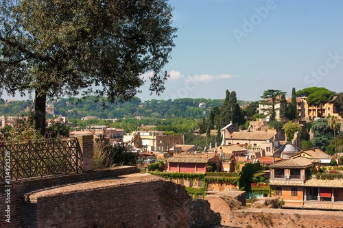 VIEW OF ROMAN FORUM AND HISTORIC HOUSES