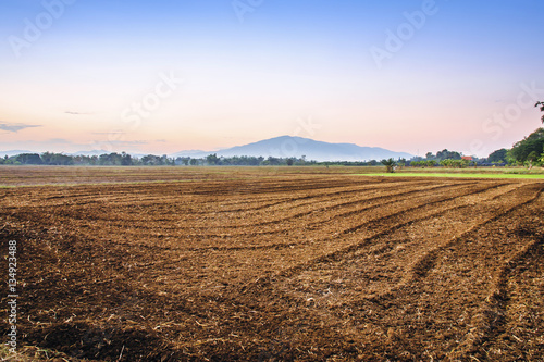 Prepare the planting area of rice farmers