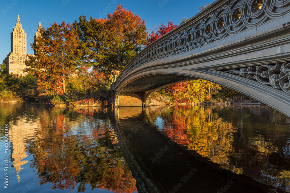 Fototapeta premium Fall in Central Park at The Lake with the Bow Bridge. Morning view with colorful Autumn foliage on the Upper West Side. Manhattan, New York City