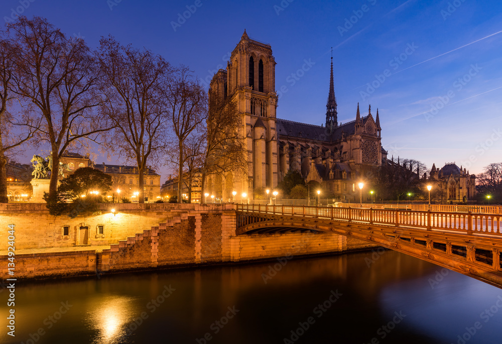 Notre Dame de Paris cathedral at dawn with the Seine River and the Pont au Double. Ile de La Cite. 4th Arrondissement, Paris, France