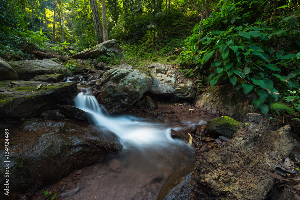The stream flows from Jum Pan Tong waterfall is located in Doi Luang national park, Baan Tum subdistrict of Payao province, Thailand. The stream flows from Jum Pan Tong waterfall is located in Doi Luang national park, Baan Tum subdistrict of Payao province, Thailand.