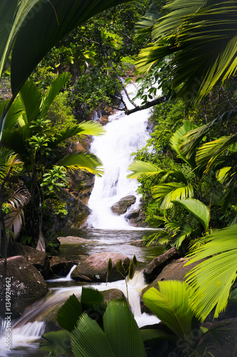 a waterfall on a tropical island