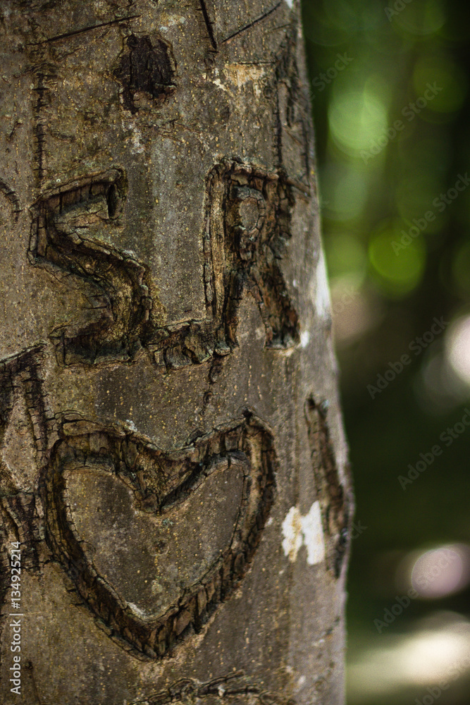 Fototapeta premium Siegfried und Roy