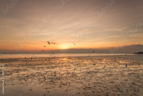 Tranquil scene with seagull flying at sunset © prakhob_khonchen