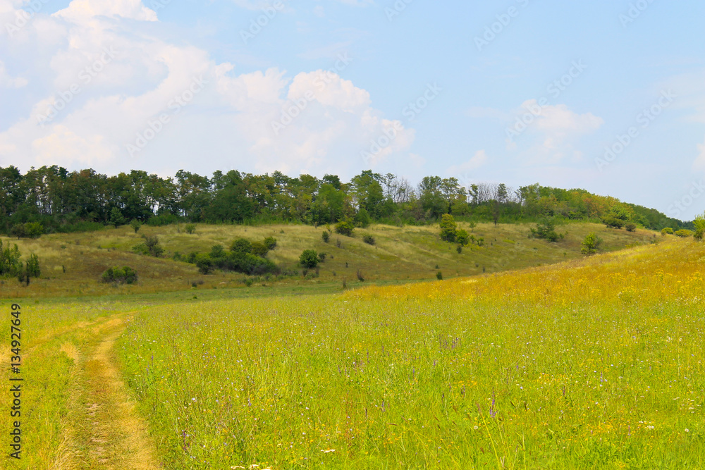 Summer landscape with meadow, trees and hills
