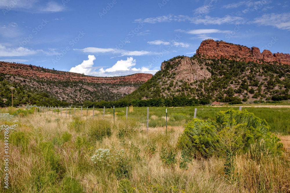 red canyon mountains rising over farmlands in the valley
Unaweep - Tabeguache scenic byway, Whitewater, Colorado, USA