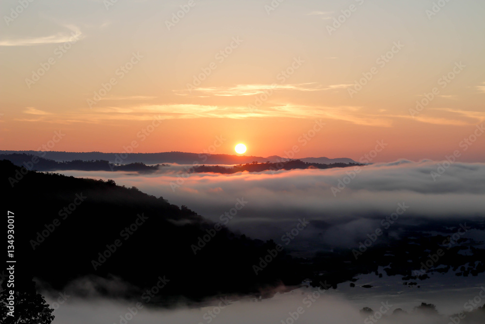 Mist in sunrise
