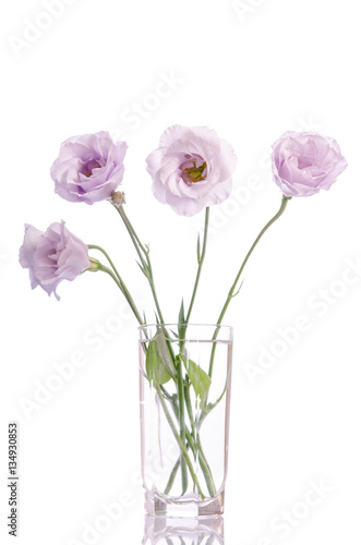 Fototapeta Naklejka Na Ścianę i Meble -  bunch of pale violet eustoma flowers in glass vase