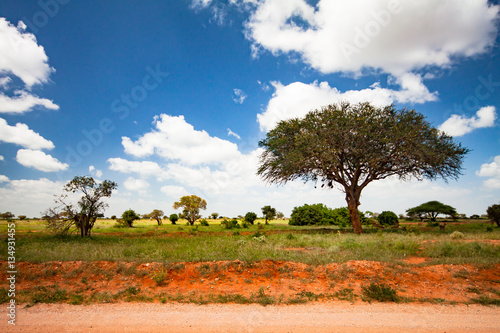 Panorama of the Tsavo East National Park in Africa
