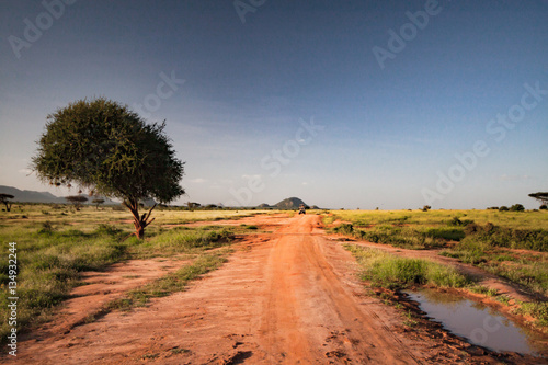 Panorama of a street in the Tsavo East National Park in Africa