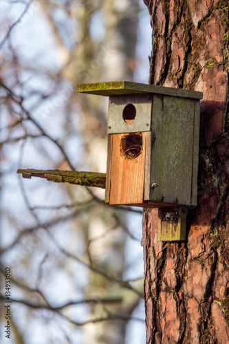 Foto Birdhouse with two holes