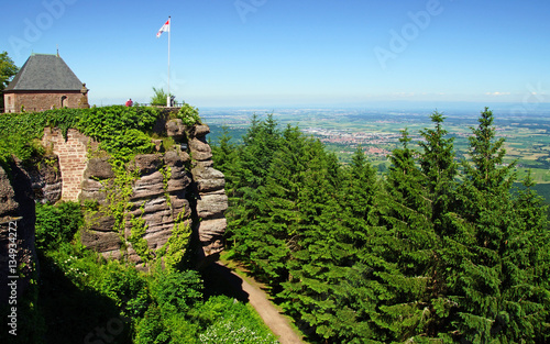 Mont saint Odile photo