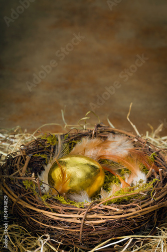 Golden egg in nest