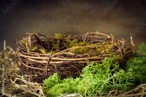 Empty nest with moss photo