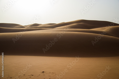 Desert sunset landscape