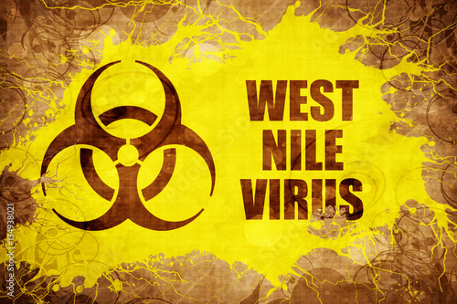 Cuadro en lienzo Grunge vintage West nile virus