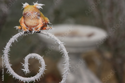 garten mit wetterfrosch im winter, vogerlbad, unschärfe