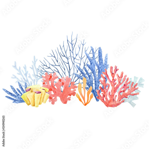 Watercolor coral composition