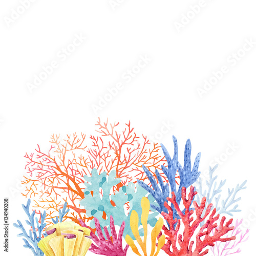 Watercolor coral composition