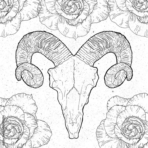 Ram Skull in vintage style on white background