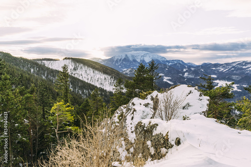 Blick auf die Voralpen mit Schneeberg im Winter