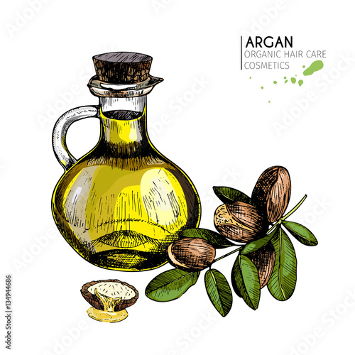 Vector set of hair care ingredients. Organic hand drawn colored elements.Argan nuts branch and oil bottle.