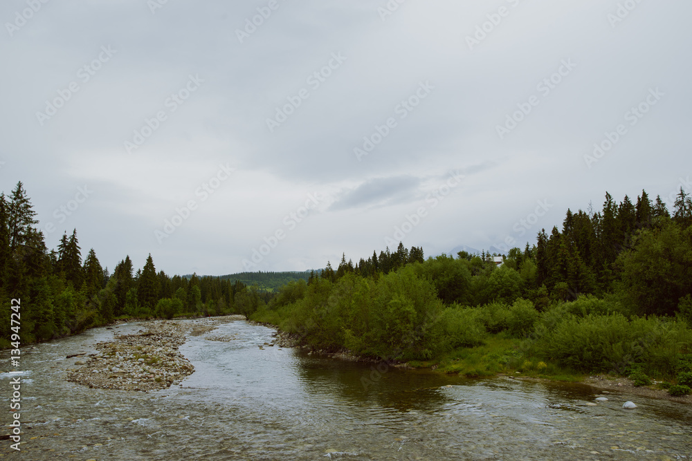 mountain river in summer mountain river in summer