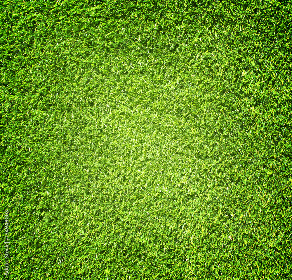 Obraz premium grass