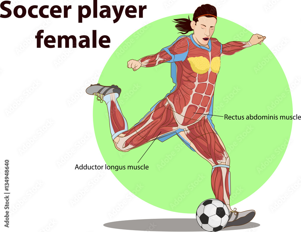 Soccer Field Anatomy: A Quick Guide To Knowing The Game