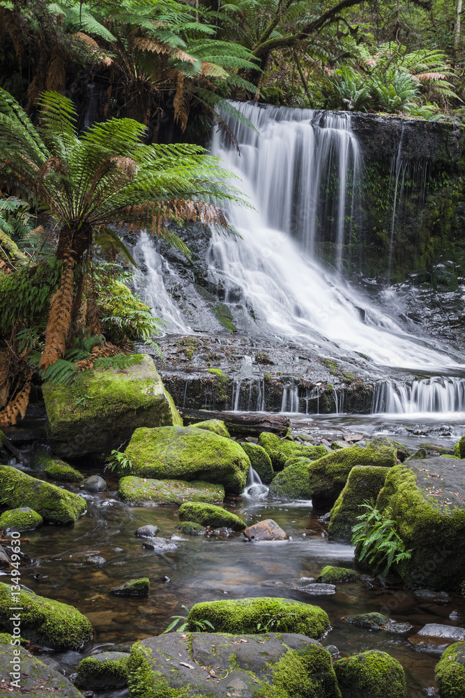 Russell Falls, Mount Field National park, Tasmania, Australia