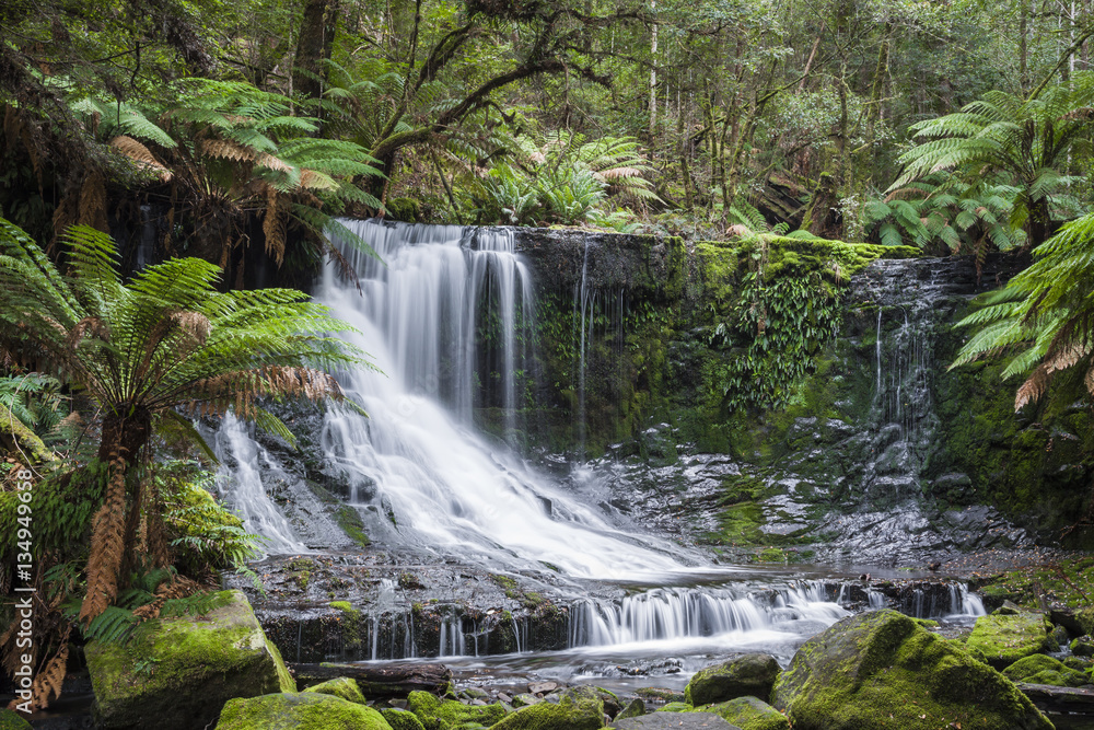 Fototapeta premium Russell Falls, Mount Field National park, Tasmania, Australia