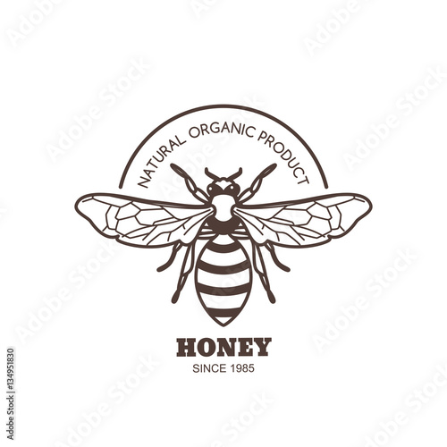 Vector vintage honey label design. Outline honeybee logo or emblem. Linear bee isolated on white background. Concept for organic honey products, package design.