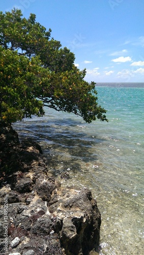 Fototapeta Naklejka Na Ścianę i Meble -  Crystal Clear Waters of Florida Keys