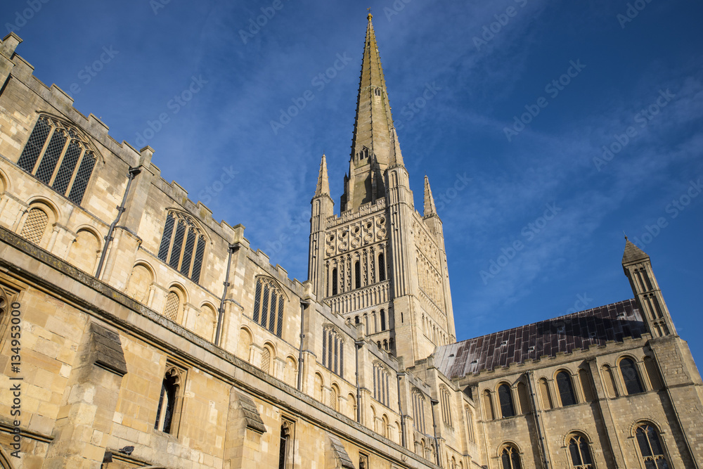 Obraz premium Norwich Cathedral