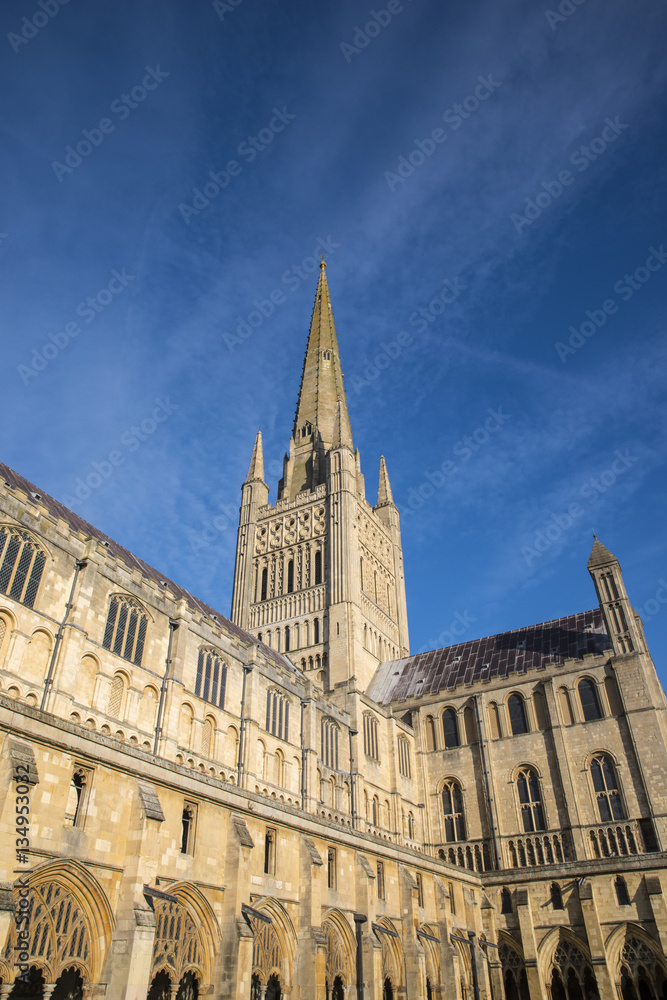 Norwich Cathedral StockFoto Adobe Stock