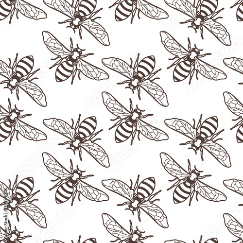 Vector seamless vintage pattern with linear bee. Organic honey background. Concept for honey package design  label  wrapping  fashion prints.