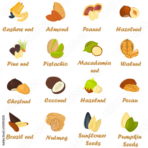 Set of color nuts icons in cartoon design