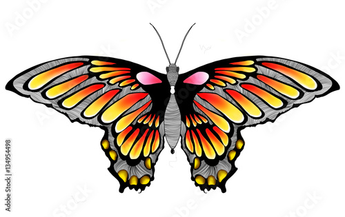Colourful butterfly tattoo design illustration