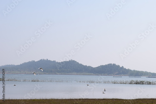 The Telaiya Dam on river Barakar Jhumri-Telaiya, Koderma, Jharkhand