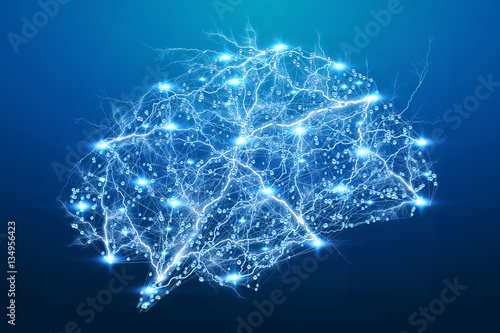 Fototapeta Naklejka Na Ścianę i Meble -  Digital x-ray human brain 3D rendering